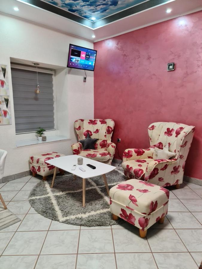 Apartman -Harmony- Paracin Exterior photo